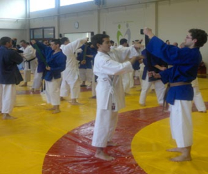 Karatecas alhameños acuden a un curso de formadores en defensa personal