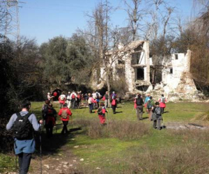 Con el sol, entre los olivos, la sal y el agua