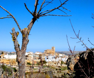 Se ponen en marcha  los cursos de formación para desempleados del programa NYE 'Empléate en Alhama'