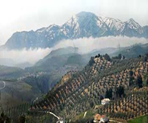 Jornada oportunidades de futuro en el Parque natural Sierras Tejeda, Almijara y Alhama