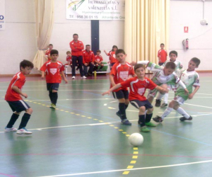 Dos victorias de los cuatro encuentros de fútbol sala disputados este pasado sábado en el municipal de Alhama