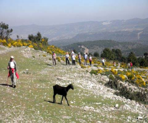 Un laberinto de “vereas”, por la recién estrenada primavera