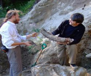 Aparecen restos fósiles en los Urales de la época de los encontrados en Zafarraya