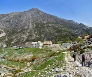 Denuncian al alcalde de Játar por permitir pastar en una finca privada