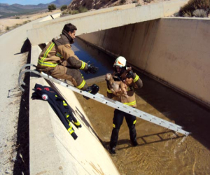 Los bomberos de Alhama e Iznalloz se forman para llevar a cabo intervenciones con animales en situaciones de emergencia