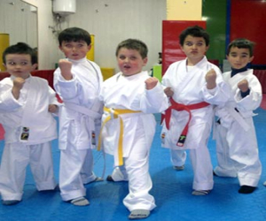 Final del circuito provincial de kárate (katas)