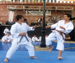 La exhibición de kárate congregó a cuarenta deportistas