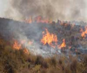 Sofocado un incendio de matorral en Jayena