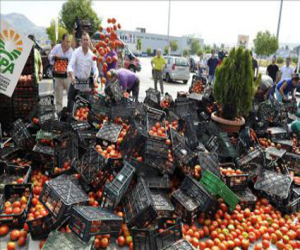 El sector hortofrutícola del Llano acumula este verano pérdidas cercanas a los 10 millones de euros