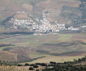 Sobre los gastos del Ayuntamiento de Santa Cruz del Comercio