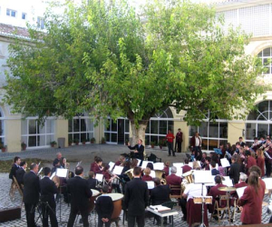 La morera del patio del Carmen, don Sixto y sus alumnos