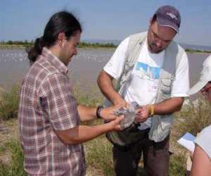 El embalse de los Bermejales y Cacín incluidos en el itinerario del Día Mundial de los Humedales de la asociación SEO/BirdLife