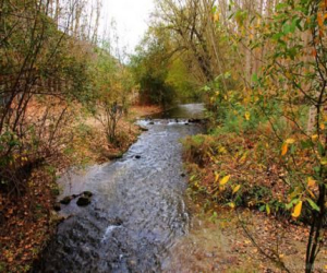 El río que dejamos...