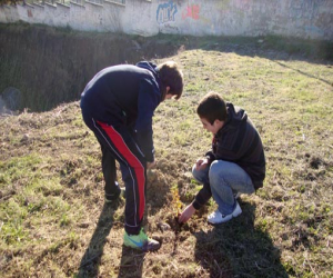 Sembrando un árbol, una iniciativa de "Madre Natura" de Arenas del Rey
