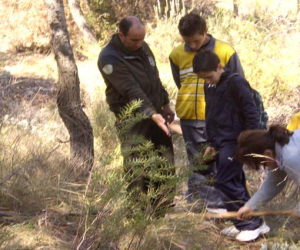 Conociendo la naturaleza realizando una repoblación forestal 
