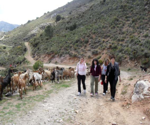 El curso de agente de desarrollo turístico hace Comarca