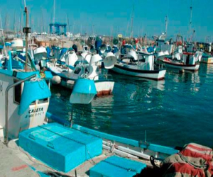 El fiscal se querella contra un vecino de Zafarraya que pescó ilegalmente dos atunes rojos