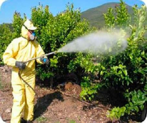 Cursos de aplicador de plaguicidas