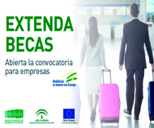 EXTENDA abre el plazo para la solicitud de becas de internacionalización para empresas Andaluzas y entidades públicas o privadas