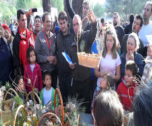 Clausuradas las XIII jornadas micológicas de Jayena y Fornes