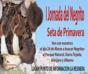 Fornatura organiza la I Jornada del NEGRITO (Helvella leucopus)’Seta de Primavera’