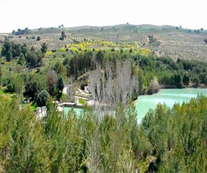 Las pantanetas de Alhama y Cacín se han naturalizado hasta convertirse en ecosistemas cargados de biodiversidad