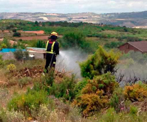 Incendio en los Enebrales de Játar