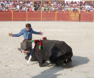 Gran festival taurino donde Sebastián Fernández y los toreros locales fueron protagonistas