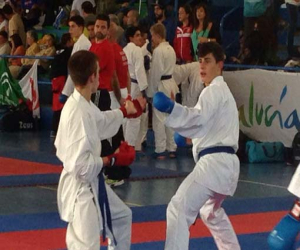 20 medallas para los jóvenes karatecas granadinos