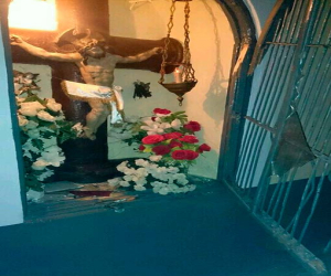 Noche de robos y destrozos en Alhama