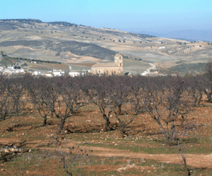 Polémica aprobación de cuatro convenios urbanísticos