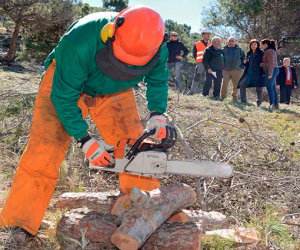 La Junta destina 6 millones de euros en trabajos medioambientales en más de cien municipios de la provincia dentro del Plan de Choque por el Empleo