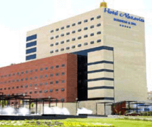 Cena de fin de año de Ollas Locas