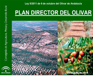 El Plan Director del Olivar promoverá la modernización y competitividad del sector con más de 100 actuaciones