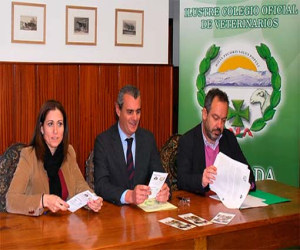 Veterinarios enseñarán a escolares a tratar y cuidar a los animales de compañía