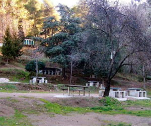 La vida de los resineros en la sierra, taller para trabajar y pernoctar en el monte