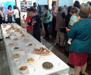 Buenos sabores: degustación gastronómica en Jayena