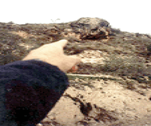 El reloj de Fornes que nunca atrasa