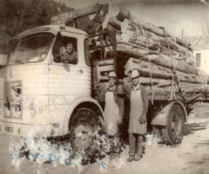 Historia: La Resinera de Fornes, vida y tradición de una industria (II) 