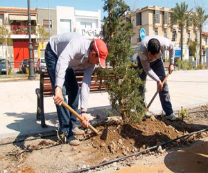 Los ayuntamientos recibirán fondos del Programa Extraordinario de Ayuda a la Contratación