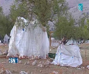 Denuncian las precarias condiciones en las que viven temporeros de Zafarraya