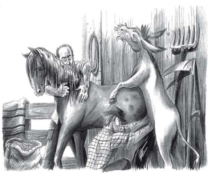 Frasquito ‘El Gato’: La parada de sementales