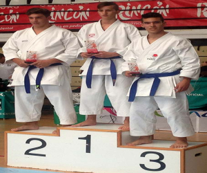 Primera copa de Andalucía multiestilos de artes marciales