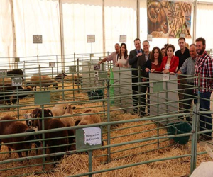 Éxito de la I Feria de Ganado de Zafarraya