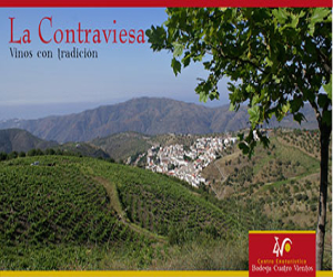 Nueva propuesta de turismo enológico de Ilusiónate Travel