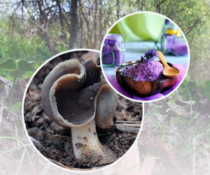 La III Jornada del negrito se celebra el domingo, 3 de abril