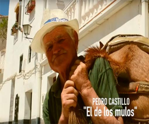 Expectación con el cortometraje 'Del Terreno'