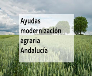 Agricultura amplía hasta el 24 de septiembre el plazo de solicitud de ayudas a la modernización de explotaciones