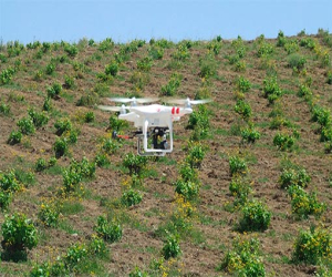 Agricultura abre la convocatoria de ayudas para la creación y funcionamiento de Grupos Operativos de Innovación