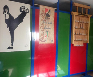 Si tu sueño es vestirte de blanco… apúntate a karate